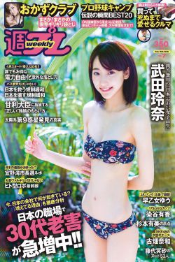 大秦赋电视剧免费观看