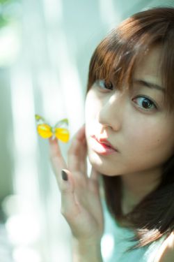 一树梨花压海棠电影