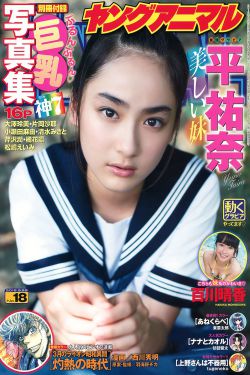 完美证据