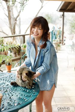 1mdash36集电视剧